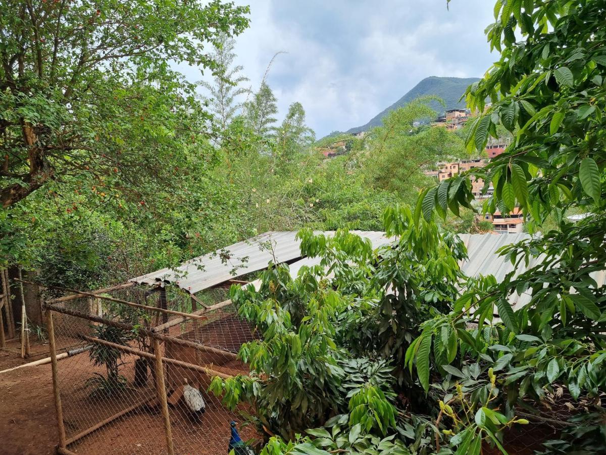 Casa Faisao Villa Nova Lima Eksteriør billede